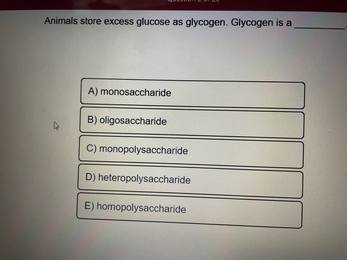 Animals store excess glucose as glycogen. Glycogen is a
A) monosaccharide
B) oligosaccharide
C) monopolysaccharide
D) heteropolysaccharide
E) homopolysaccharide