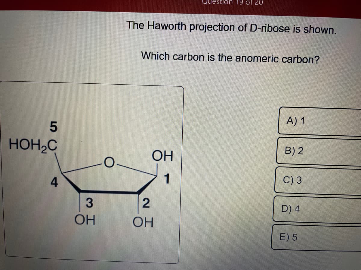 5
HOH C
4
3
ОН
The Haworth projection of D-ribose is shown.
Question 19 of 20
Which carbon is the anomeric carbon?
ОН
1
2
ОН
A) 1
B)2
C) 3
D) 4
E) 5