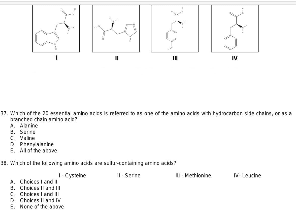 N-H
II
II
IV
37. Which of the 20 essential amino acids is referred to as one of the amino acids with hydrocarbon side chains, or as a
branched chain amino acid?
A. Alanine
B. Serine
C. Valine
D. Phenylalanine
E. All of the above
38. Which of the following amino acids are sulfur-containing amino acids?
|- Cysteine
I| - Serine
III - Methionine
IV- Leucine
A. Choices I and II
B. Choices Il and III
C. Choices I and III
D. Choices Il and IV
E. None of the above
