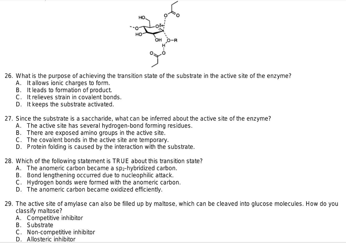 HO.
но-
OH
O-R
26. What is the purpose of achieving the transition state of the substrate in the active site of the enzyme?
A. It allows ionic charges to form.
B. It leads to formation of product.
C. It relieves strain in covalent bonds.
D. It keeps the substrate activated.
27. Since the substrate is a saccharide, what can be inferred about the active site of the enzyme?
A. The active site has several hydrogen-bond forming residues.
B. There are exposed amino groups in the active site.
C. The covalent bonds in the active site are temporary.
D. Protein folding is caused by the interaction with the substrate.
28. Which of the following statement is TRUE about this transition state?
A. The anomeric carbon became a sp2-hybridized carbon.
B. Bond lengthening occurred due to nucleophilic attack.
C. Hydrogen bonds were formed with the anomeric carbon.
D. The anomeric carbon became oxidized efficiently.
29. The active site of amylase can also be filled up by maltose, which can be cleaved into glucose molecules. How do you
classify maltose?
A. Competitive inhibitor
B. Substrate
C. Non-competitive inhibitor
D. Allosteric inhibitor
