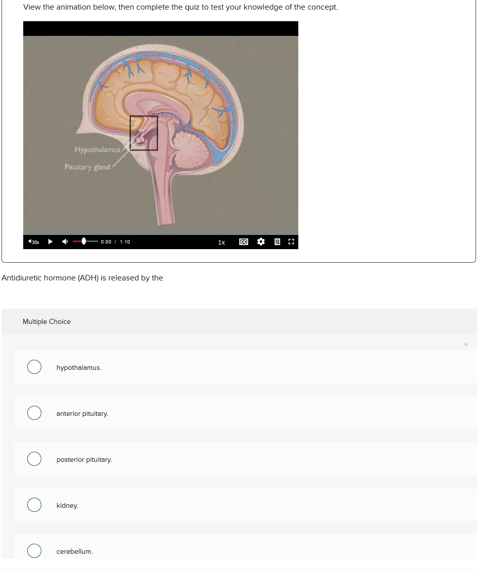 View the animation below, then complete the quiz to test your knowledge of the concept.
30s
Hypothalamus
Pituitary gland
Multiple Choice
Antidiuretic hormone (ADH) is released by the
0:00 / 1:10
hypothalamus.
anterior pituitary.
posterior pituitary.
kidney.
cerebellum.
1x
CC