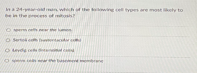 In a 24-year-ald man, which of the following cell types are most likely to
be in the process of mitosis?
O sperm cells near the lumen
O Sertoli cells (sustentacular cells)
O Leydig cells tinterstitial cells)
O sperm cells near the basement membrane
