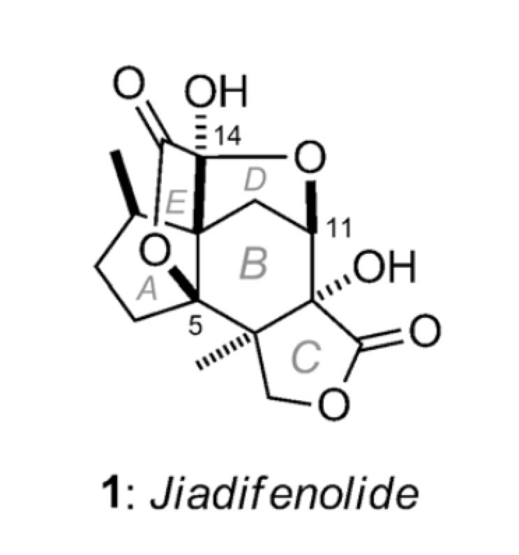 ОН
E14
11
B
OH
A
5
C
1: Jiadifenolide
