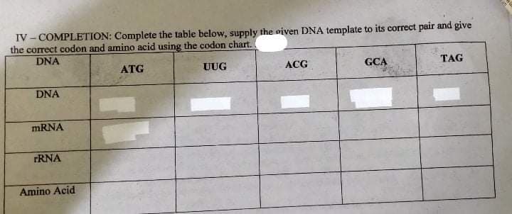 IV - COMPLETION: Complete the table below, supply the viven DNA template to its correct pair and give
the correct codon and amino acid using the codon chart.
DNA
ATG
UUG
ACG
GCA
TAG
DNA
MRNA
FRNA
Amino Acid
