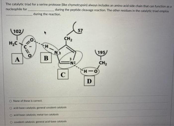 The catalytic triad for a serine protease (like chymotrypsin) always includes an amino acid side chain that can function as a
during the peptide cleavage reaction. The other residues in the catalytic triad employ
nucleophile for
during the reaction.
102/
57
CH2
H2C
195)
А
B
N:
CH2
D
None of these is correct.
O acid-base catalysis; general covalent catalysis
O acid-base catalysis; metal-lon catalysis
O covalent catalysis: general acid-base catalysis

