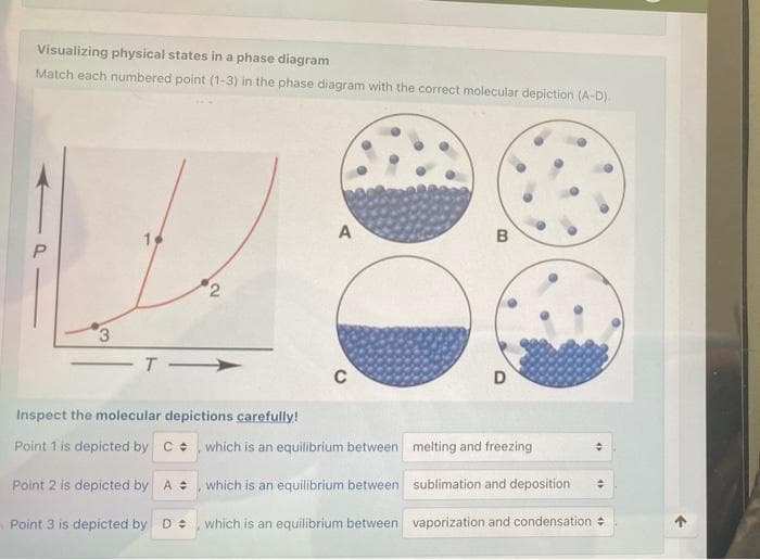 Visualizing physical states in a phase diagram
Match each numbered point (1-3) in the phase diagram with the correct molecular depiction (A-D)
A
P.
T
D
Inspect the molecular depictions carefully!
Point 1 is depicted by C +
which is an equilibrium between melting and freezing
Point 2 is depicted by A
which is an equilibrium between sublimation and deposition
Point 3 is depicted by D +
which is an equilibrium between vaporization and condensation +
