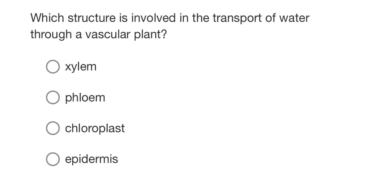 Which structure is involved in the transport of water
through a vascular plant?
хуlem
O phloem
chloroplast
epidermis
