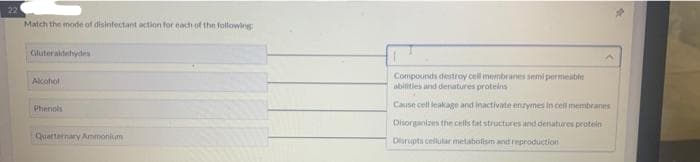 22
Match the mode of disinfectant action for each of the following:
Gluteraldehydes
Alcohol
Phenols
Quarternary Ammonium
A
Compounds destroy cell membranes semi permeable
abilities and denatures proteins
Cause cell leakage and inactivate enzymes in cell membranes
Disorganizes the cells fat structures and denatures protein
Disrupts cellular metabolism and reproduction