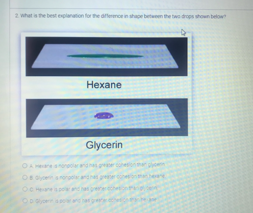 2. What is the best explanation for the difference in shape between the two drops shown below?
Hexane
Glycerin
O A Hexane is nonpolar and has greater cohesion than glycerin
OB Glycerin is nonpolar and has greater cohesion than hexane.
OC. Hexane is polar and has greater cohesion than glycerin
hexane
OD Glycerin is polar and has greater cohesio
