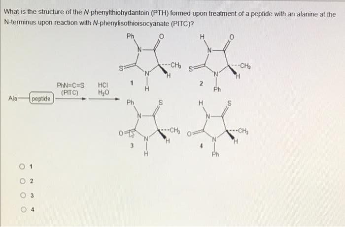 What is the structure of the N-phenylthiohydantoin (PTH) formed upon treatment of a peptide with an alanine at the
N-terminus upon reaction with N-phenylisothioisocyanate (PITC)?
Ph
-CH
--CH
'N'
PhN=C=S
(PITC)
2
Ph
HCI
H,0
Ala-
peptide
H.
CH
CH
