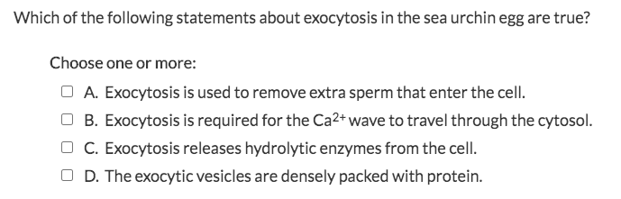 Which of the following statements about exocytosis in the sea urchin egg are true?
Choose one or more:
O A. Exocytosis is used to remove extra sperm that enter the cell.
O B. Exocytosis is required for the Ca2+ wave to travel through the cytosol.
O C. Exocytosis releases hydrolytic enzymes from the cell.
O D. The exocytic vesicles are densely packed with protein.
