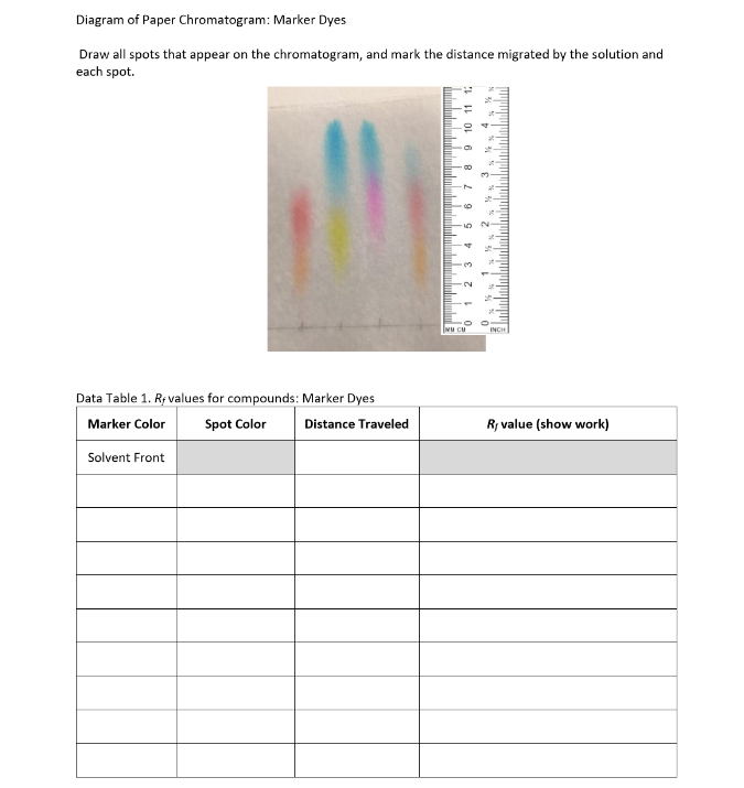 Diagram of Paper Chromatogram: Marker Dyes
Draw all spots that appear on the chromatogram, and mark the distance migrated by the solution and
each spot.
Data Table 1. Ry values for compounds: Marker Dyes
Marker Color
Spot Color
Distance Traveled
R, value (show work)
Solvent Front

