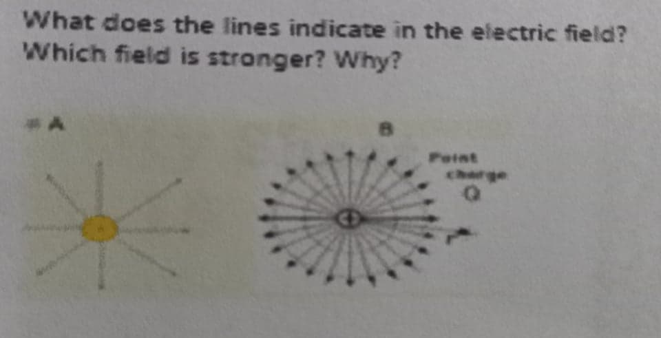 What does the lines indicate in the electric field?
Which field is stronger? Why?
Peint
charge
