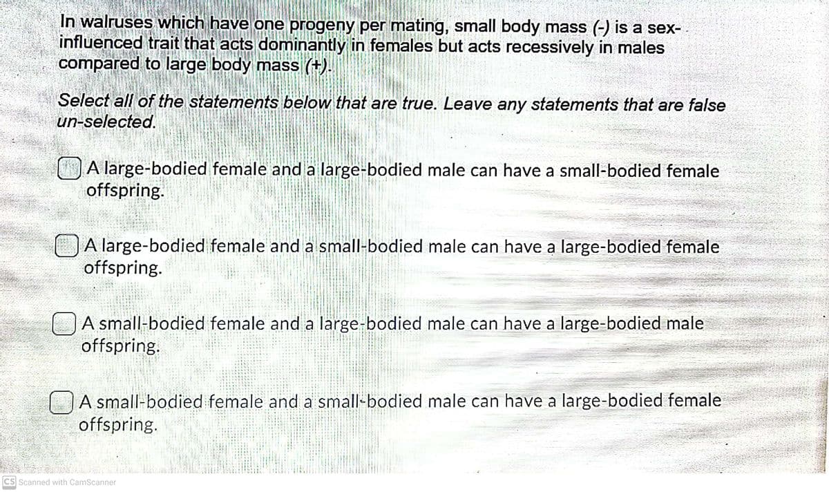 In walruses which have one progeny per mating, small body mass (-) is a sex-
influenced trait that acts dominantly in females but acts recessively in males
compared to large body mass (+).
Select all of the statements below that are true. Leave any statements that are false
un-selected.
A large-bodied female and a large-bodied male can have a small-bodied female
offspring.
A large-bodied female and a small-bodied male can have a large-bodied female
offspring.
A small-bodied female and a large-bodied male can have a large-bodied male
offspring.
1. .
:1 1 -
A small-bodied female and a small-bodied male can have a large-bodied female
offspring.
CS Scanned with CamScanner

