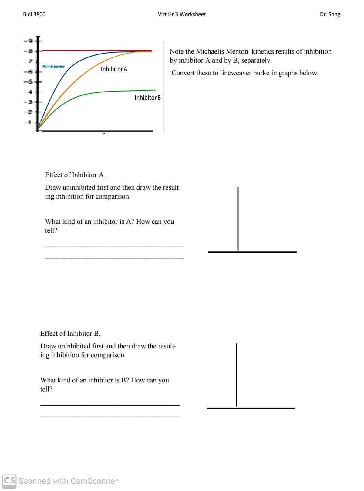 Biol 3800
Virt Hr 3 Worksheet
Dr. Song
Note the Michaelis Menton kinetics results of inhibition
by inhibitor A and by B, separately.
Normal enzyme
Inhibitor A
Convert these to lineweaver burke in graphs below.
-5-+
Inhibitor B
-3+
-2+
Effect of Inhibitor A.
Draw uninhibited first and then draw the result-
ing inhibition for comparison.
What kind of an inhibitor is A? How can you
tell?
Effect of Inhibitor B.
Draw uninhibited first and then draw the result-
ing inhibition for comparison.
What kind of an inhibitor is B? How can you
tell?
CS Scanned with CamScanner
