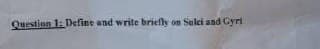 Question 1: Define and write briefly on Sulei and Cyri