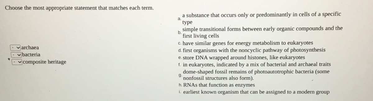 Choose the most appropriate statement that matches each term.
a substance that occurs only or predominantly in cells of a specific
a.
type
simple transitional forms between early organic compounds and the
b.
first living cells
c. have similar genes for energy metabolism to eukaryotes
d. first organisms with the noncyclic pathway of photosynthesis
Varchaea
vbacteria
v composite heritage
e. store DNA wrapped around histones, like eukaryotes
f. in eukaryotes, indicated by a mix of bacterial and archaeal traits
dome-shaped fossil remains of photoautotrophic bacteria (some
g.
nonfossil structures also form).
h. RNAS that function as enzymes
i. earliest known organism that can be assigned to a modern group
