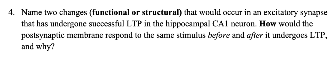 4. Name two changes (functional or structural) that would occur in an excitatory synapse
that has undergone successful LTP in the hippocampal CA1 neuron. How would the
postsynaptic membrane respond to the same stimulus before and after it undergoes LTP,
and why?
