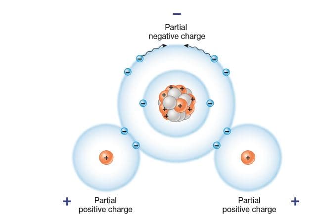 Partial
negative charge
+
Partial
Partial
positive charge
positive charge
+
