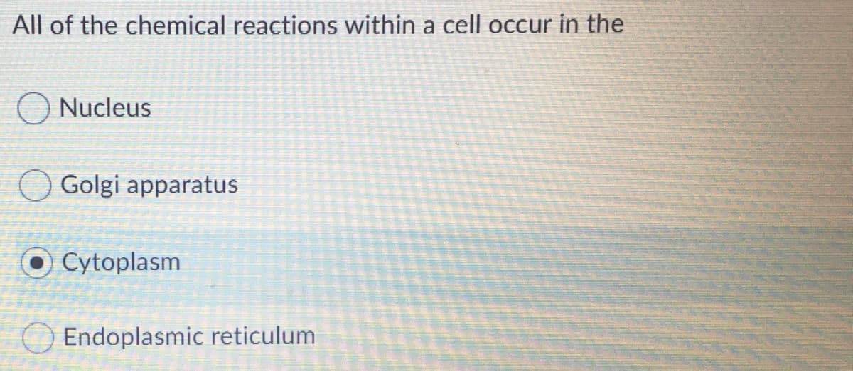 All of the chemical reactions within a cell occur in the
Nucleus
Golgi apparatus
O Cytoplasm
Endoplasmic reticulum
