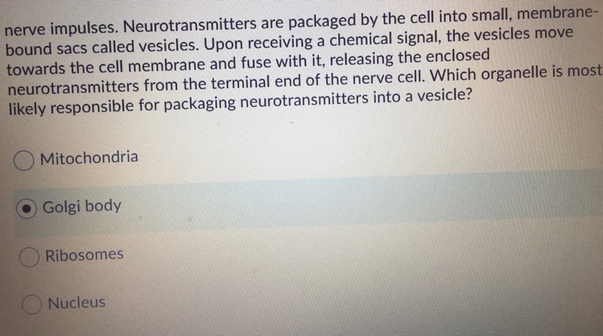 nerve impulses. Neurotransmitters are packaged by the cell into small, membrane-
bound sacs called vesicles. Upon receiving a chemical signal, the vesicles move
towards the cell membrane and fuse with it, releasing the enclosed
neurotransmitters from the terminal end of the nerve cell. Which organelle is most
likely responsible for packaging neurotransmitters into a vesicle?
Mitochondria
Golgi body
Ribosomes
Nucleus
