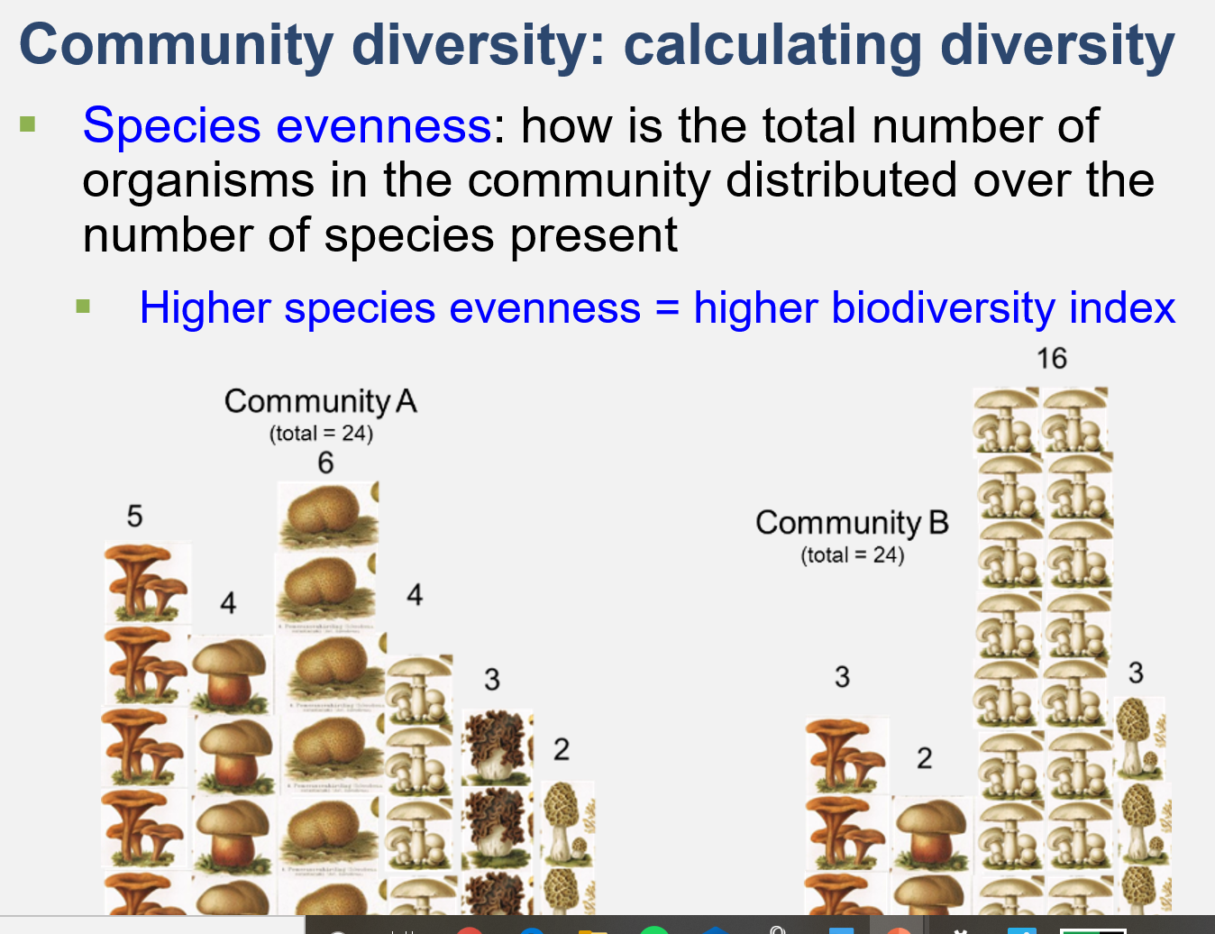 Community diversity: calculating diversity
• Species evenness: how is the total number of
organisms in the community distributed over the
number of species present
Higher species evenness = higher biodiversity index
16
Community A
(total = 24)
6
5
Community B
(total = 24)
4
3
2
3.
Galatatatalalala
401010

