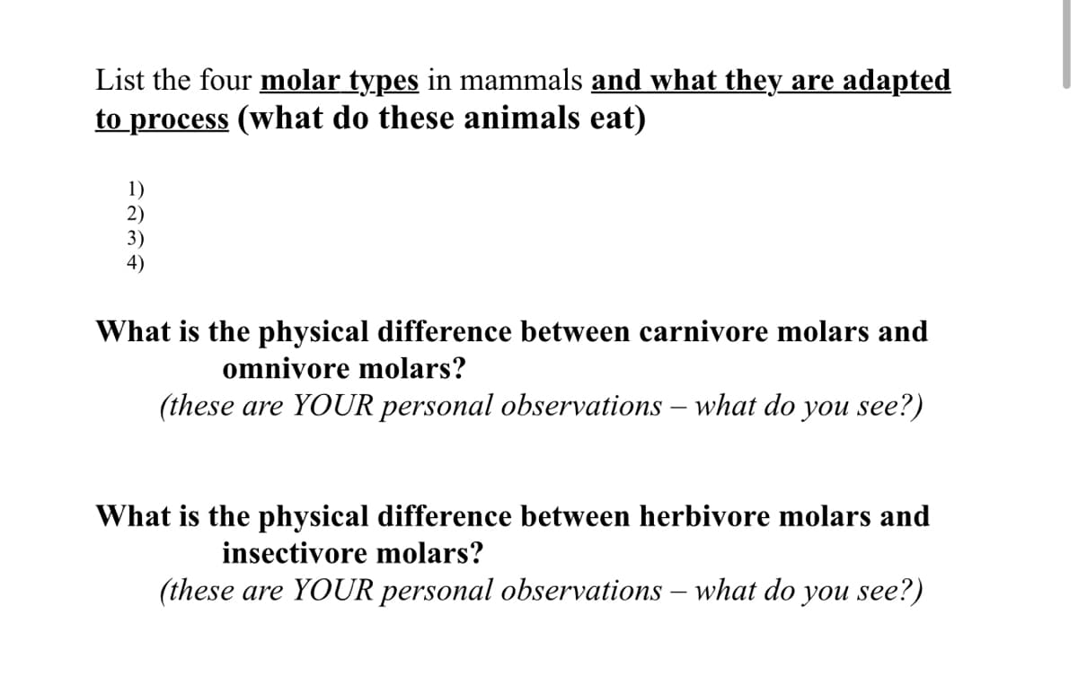 List the four molar types in mammals and what they are adapted
to process (what do these animals eat)
1)
2)
1244
3)
4)
What is the physical difference between carnivore molars and
omnivore molars?
(these are YOUR personal observations - what do you see?)
What is the physical difference between herbivore molars and
insectivore molars?
(these are YOUR personal observations - what do you see?)
