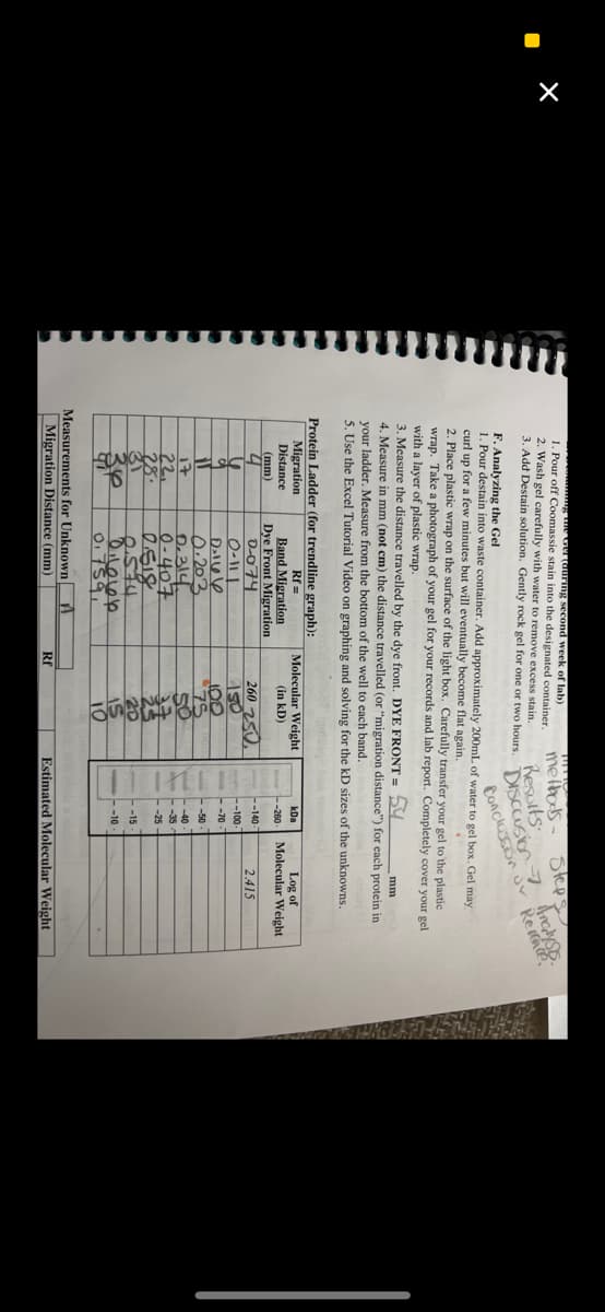 ũng the Gei (during second week of lab)
1. Pour off Coomassie stain into the designated container.
2. Wash gel carefully with water to remove excess stain.
3. Add Destain solution. Gently rock gel for one or two hours.
Protein Ladder (for trendline graph):
Migration
Rf=
Distance
Band Migration
Dye Front Migration
0-074
F. Analyzing the Gel
1. Pour destain into waste container. Add approximately 200mL of water to gel box. Gel may
curl up for a few minutes but will eventually become flat again.
2. Place plastic wrap on the surface of the light box. Carefully transfer your gel to the plastic
wrap. Take a photograph of your gel for your records and lab report. Completely cover your gel
with a layer of plastic wrap.
3. Measure the distance travelled by the dye front. DYE FRONT= 54
mm
4. Measure in mm (not cm) the distance travelled (or "migration distance") for each protein in
your ladder. Measure from the bottom of the well to each band.
5. Use the Excel Tutorial Video on graphing and solving for the kD sizes of the unknowns.
(mm)
U
4
a
V
17
22.
28.
0-111
0.166
0.203
0.314
0-407
esig
طمه و
81
Measurements for Unknown A
Migration Distance (mm)
0.759,
Molecular Weight
(in KD)
260 250
100
75
50
Rf
站
20
15
methods Steps
Results
10
DISCOusion 7 Anca
Conclussion or
kDa
--260-
-100-
-70
-35
-15
-10
Log of
Molecular Weight
2.415
Estimated Molecular Weight