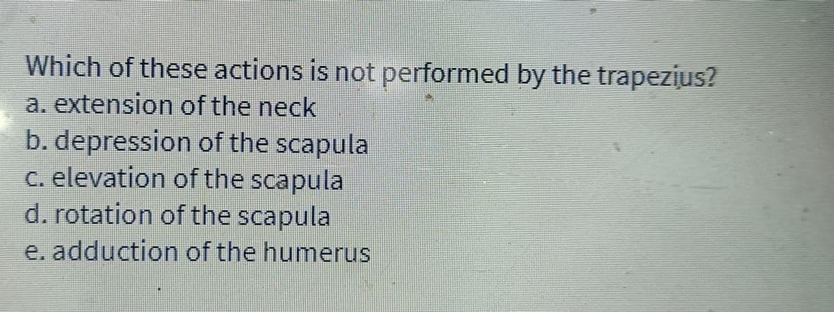 Which of these actions is not performed by the trapezius?
a. extension of the neck
b. depression of the scapula
c. elevation of the scapula
d. rotation of the scapula
e. adduction of the humerus