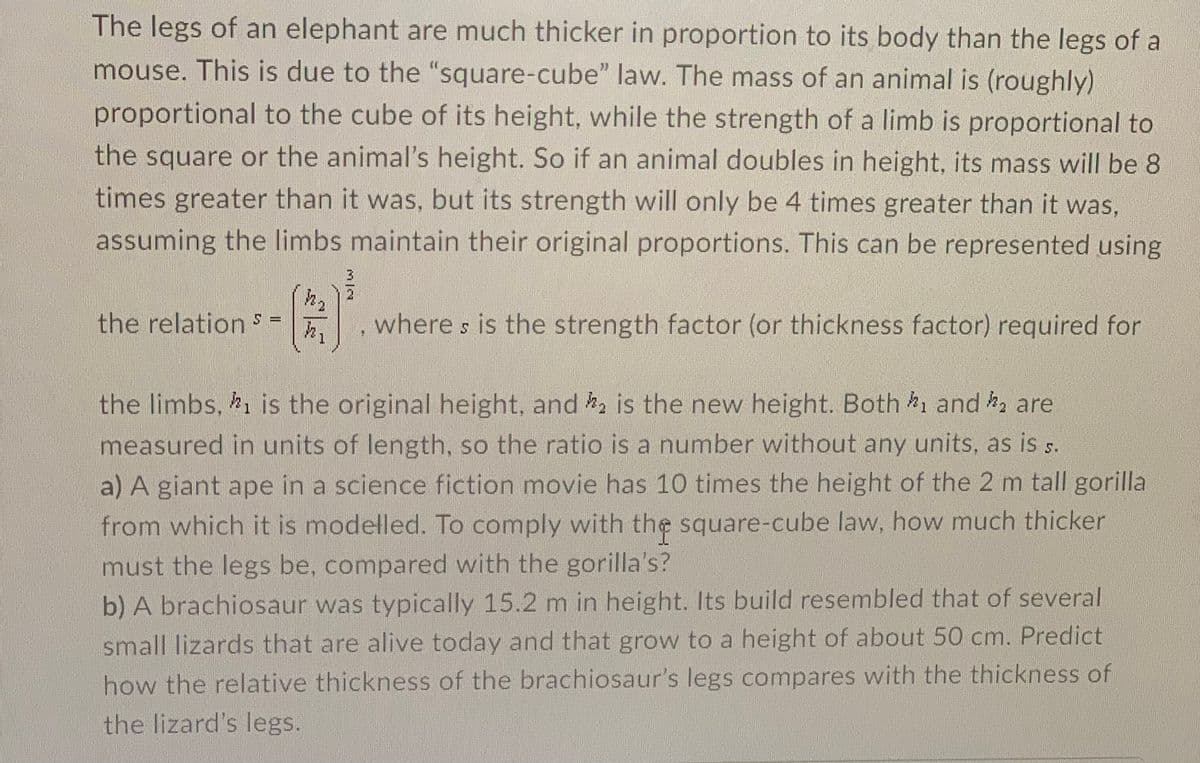 The legs of an elephant are much thicker in proportion to its body than the legs of a
mouse. This is due to the "square-cube" law. The mass of an animal is (roughly)
proportional to the cube of its height, while the strength of a limb is proportional to
the square or the animal's height. So if an animal doubles in height, its mass will be 8
times greater than it was, but its strength will only be 4 times greater than it was,
assuming the limbs maintain their original proportions. This can be represented using
(A)
the relation s =
where s is the strength factor (or thickness factor) required for
the limbs, k1 is the original height, and h is the new height. Both k1 and are
measured in units of length, so the ratio is a number without any units, as is s.
a) A giant ape in a science fiction movie has 10 times the height of the 2 m tall gorilla
from which it is modelled. To comply with the square-cube law, how much thicker
must the legs be, compared with the gorilla's?
b) A brachiosaur was typically 15.2 m in height. Its build resembled that of several
small lizards that are alive today and that grow to a height of about 50 cm. Predict
how the relative thickness of the brachiosaur's legs compares with the thickness of
the lizard's legs.
M|N
