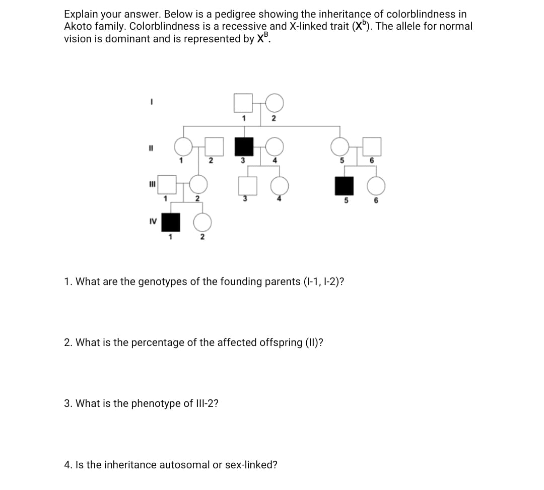 Explain your answer. Below is a pedigree showing the inheritançe of colorblindness in
Akoto family. Colorblindness is a recessive and X-linked trait (X'). The allele for normal
vision is dominant and is represented by X°.
2
II
2
3
5
II
1
2
5 6
IV
1. What are the genotypes of the founding parents (I-1, I-2)?
2. What is the percentage of the affected offspring (II)?
3. What is the phenotype of III-2?
4. Is the inheritance autosomal or sex-linked?
