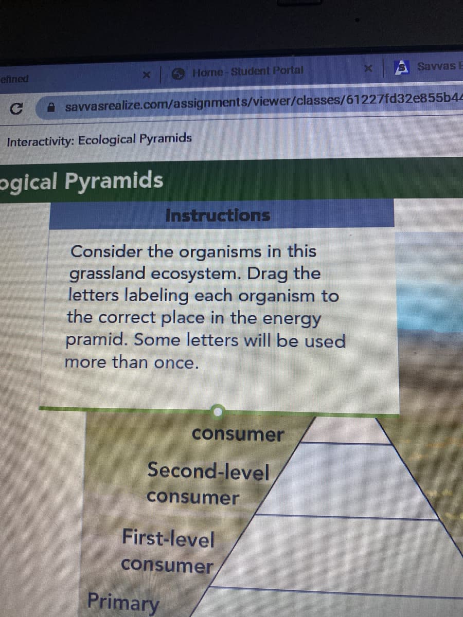 Savvas E
Horme-Student Portal
efined
A savvasrealize.com/assignments/viewer/classes/61227fd32e855b44
Interactivity: Ecological Pyramids
ogical Pyramids
Instructions
Consider the organisms in this
grassland ecosystem. Drag the
letters labeling each organism to
the correct place in the energy
pramid. Some letters will be used
more than once.
consumer
Second-level
consumer
First-level
consumer
Primary

