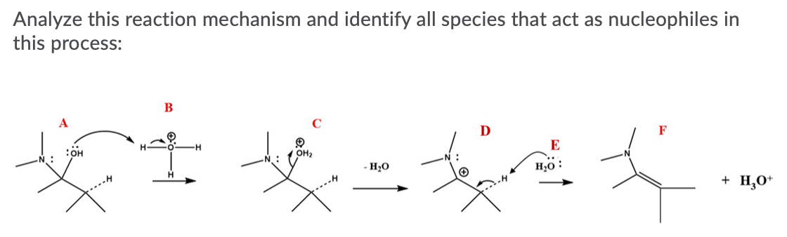 Analyze this reaction mechanism and identify all species that act as nucleophiles in
this process:
B
C
D
F
E
OH2
- H2O
H20:
+ H,0*
