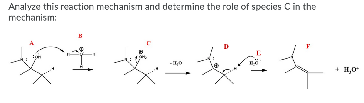 Analyze this reaction mechanism and determine the role of species C in the
mechanism:
A
C
D
F
E
он
OH2
- H20
H20 :
+ H,0*
