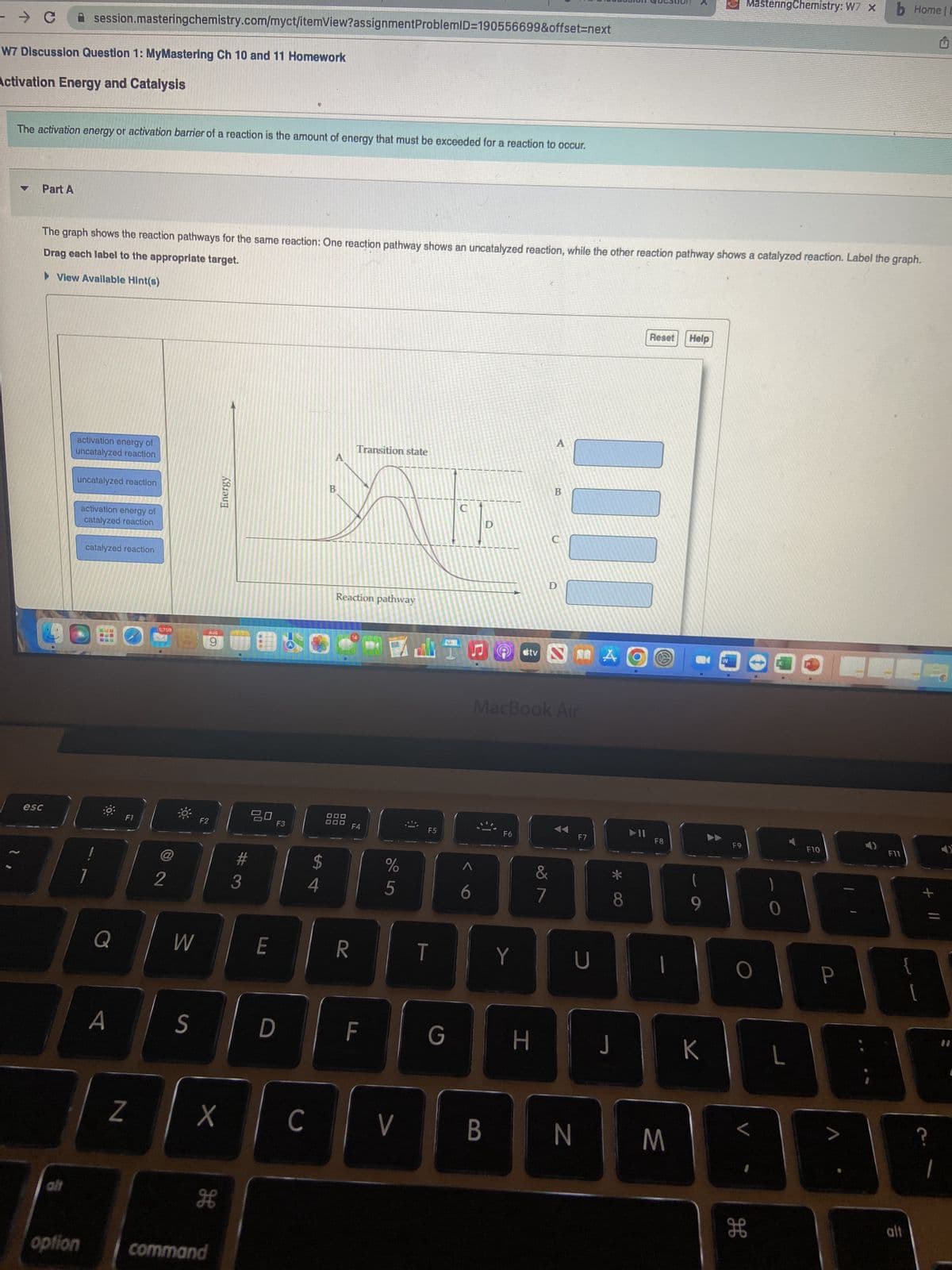 → C
W7 Discussion Question 1: MyMastering Ch 10 and 11 Homework
Activation Energy and Catalysis
The activation energy or activation barrier of a reaction is the amount of energy that must be exceeded for a reaction to occur.
Part A
session.masteringchemistry.com/myct/itemView?assignment ProblemID=190556699&offset=next
esc
alt
Drag each label to the appropriate target.
The graph shows the reaction pathways for the same reaction: One reaction pathway shows an uncatalyzed reaction, while the other reaction pathway shows a catalyzed reaction. Label the graph.
View Avallable Hint(s)
activation energy of
uncatalyzed reaction
uncatalyzed reaction
option
activation energy of
catalyzed reaction
catalyzed reaction
Q
A
Z
5,769
@
2
W
S
ALIG
9
F2
X
H
command
Energy
A
4
20
E
F3
D
с
B
Transition state
Reaction pathway
F4
R
F
%
5
A
V
F5
T
LE
G
C
♫
B
F6
#tv
Y
H
MacBook Air
&
18
A
7
B
C
D
2
11
F7
U
N
A
*
8
Reset Help
J
(a)
F8
M
K
W
MasteringChemistry: W7 x
F9
O
L
H
L
F10
b Home | E
P
F11
alt
[
+ 11
?
G