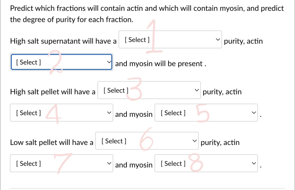 Predict which fractions will contain actin and which will contain myosin, and predict
the degree of purity for each fraction.
High salt supernatant will have a
[Select]
purity, actin
[Select]
and myosin will be present.
High salt pellet will have a
3
[Select]
4
and myosin [Select]
Low salt pellet will have a
[Select]
7
and myosin [Select]
[Select]
[Select]
purity, actin
purity, actin
5