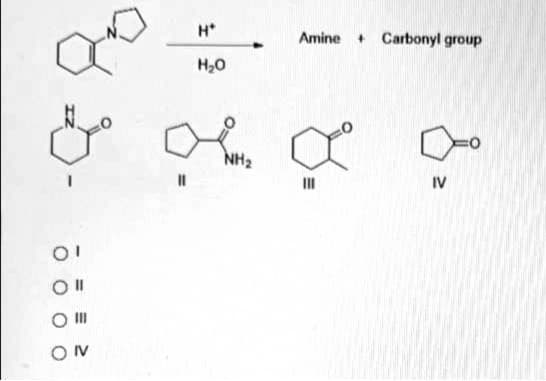 H*
Amine
Carbonyl group
H20
NH2
II
IV

