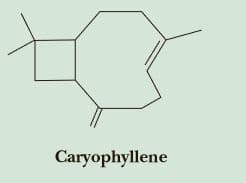 Caryophyllene
