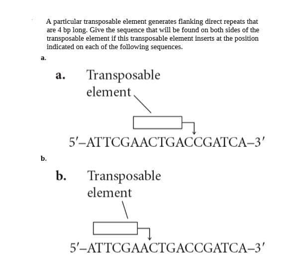 A particular transposable element generates flanking direct repeats that
are 4 bp long. Give the sequence that will be found on both sides of the
transposable element if this transposable element inserts at the position
indicated on each of the following sequences.
a.
Transposable
element,
a.
5'-ATTCGAACTGACCGATCA-3'
b.
b. Transposable
element
5'-ATTCGAACTGACCGATCA-3'
