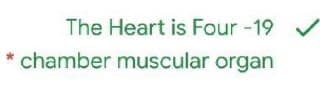 The Heart is Four -19 /
* chamber muscular organ

