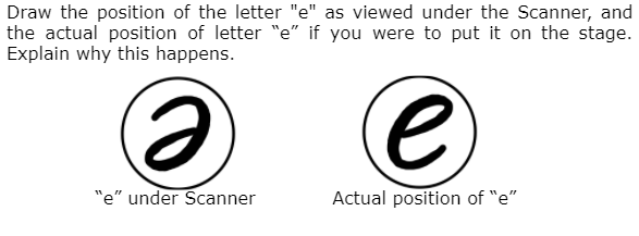 Draw the position of the letter "e" as viewed under the Scanner, and
the actual position of letter "e" if you were to put it on the stage.
Explain why this happens.
"e" under Scanner
Actual position of "e"
