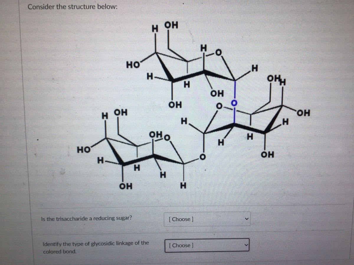 Consider the structure below:
HOH
H.
но
H.
H-
H.
он
он
он
HO.
H.
H.
OH O
H.
HO
он
H-
H.
он
H.
Is the trisaccharide a reducing sugar?
[ Choose ]
Identify the type of glycosidic linkage of the
[Choose ]
colored bond.
