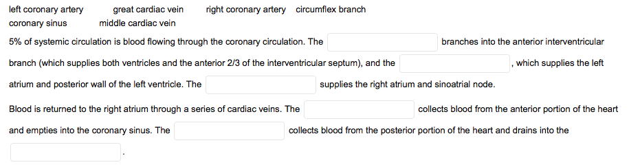 left coronary artery
great cardiac vein
right coronary artery circumflex branch
coronary sinus
middle cardiac vein
5% of systemic circulation is blood flowing through the coronary circulation. The
branches into the anterior interventricular
branch (which supplies both ventricles and the anterior 2/3 of the interventricular septum), and the
,which supplies the left
atrium and posterior wall of the left ventricle. The
supplies the right atrium and sinoatrial node.
Blood is returned to the right atrium through a series of cardiac veins. The
collects blood from the anterior portion of the heart
and empties into the coronary sinus. The
collects blood from the posterior portion of the heart and drains into the
