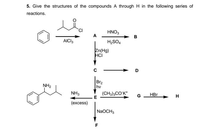 5. Give the structures of the compounds A through H in the following series of
reactions.
HNO3
A
в
AICI3
H2SO4
Zn(Hg)
HCI
D
NH2
Br2
hv
NH3
(CH3),CO'K*
HBr
G
H
(excess)
NaOCH3
F
