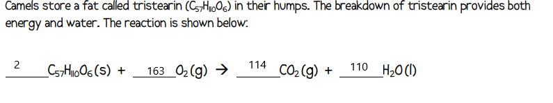 Camels store a fat called tristearin (C57H₁006) in their humps. The breakdown of tristearin provides both
energy and water. The reaction is shown below:
2
_C57H1006(S) + 163 0₂(g) →
114
_CO₂(g) +
110 H₂O(l)