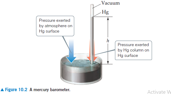 Vacuum
Hg
Pressure exerted
by atmosphere on
Hg surface
h
Pressure exerted
by Hg column on
Hg surface
A Figure 10.2 A mercury barometer.
Activate W
