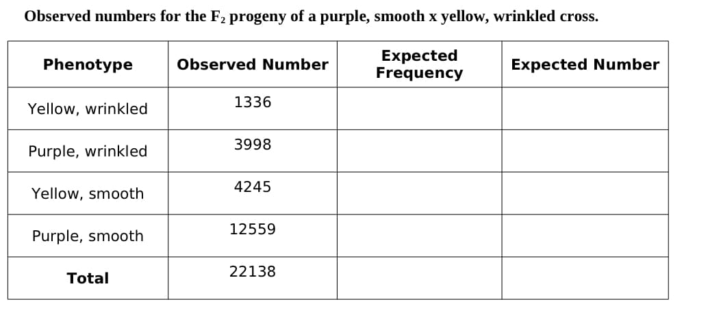 Observed numbers for the F₂ progeny of a purple, smooth x yellow, wrinkled cross.
Expected
Frequency
Phenotype
Yellow, wrinkled
Purple, wrinkled
Yellow, smooth
Purple, smooth
Total
Observed Number
1336
3998
4245
12559
22138
Expected Number