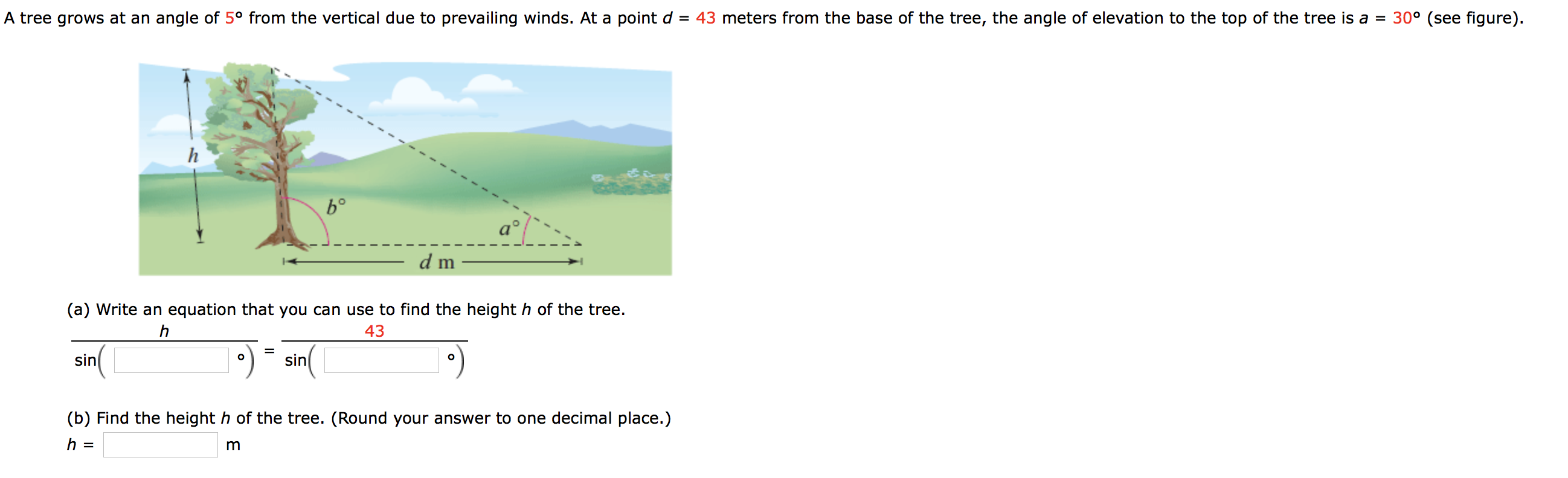 A tree grows at an angle of 5° from the vertical due to prevailing winds. At a point d = 43 meters from the base of the tree, the angle of elevation to the top of the tree is a = 30° (see figure).
b°
a°
d m
(a) Write an equation that you can use to find the height h of the tree.
43
sin
sin
(b) Find the height h of the tree. (Round your answer to one decimal place.)
