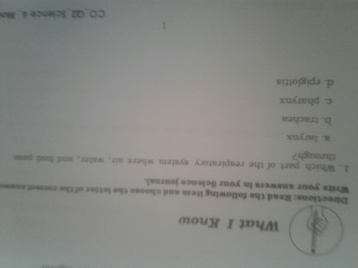 What I Know
Directions: Read the following item and choose the letter o
Write your answers in your Sclence journal.
1. Which part of the respiratory system where air, water, and food pans
b. trachea
c pharynx
d. epiglottis
Co Q2 Science 4. Mou
