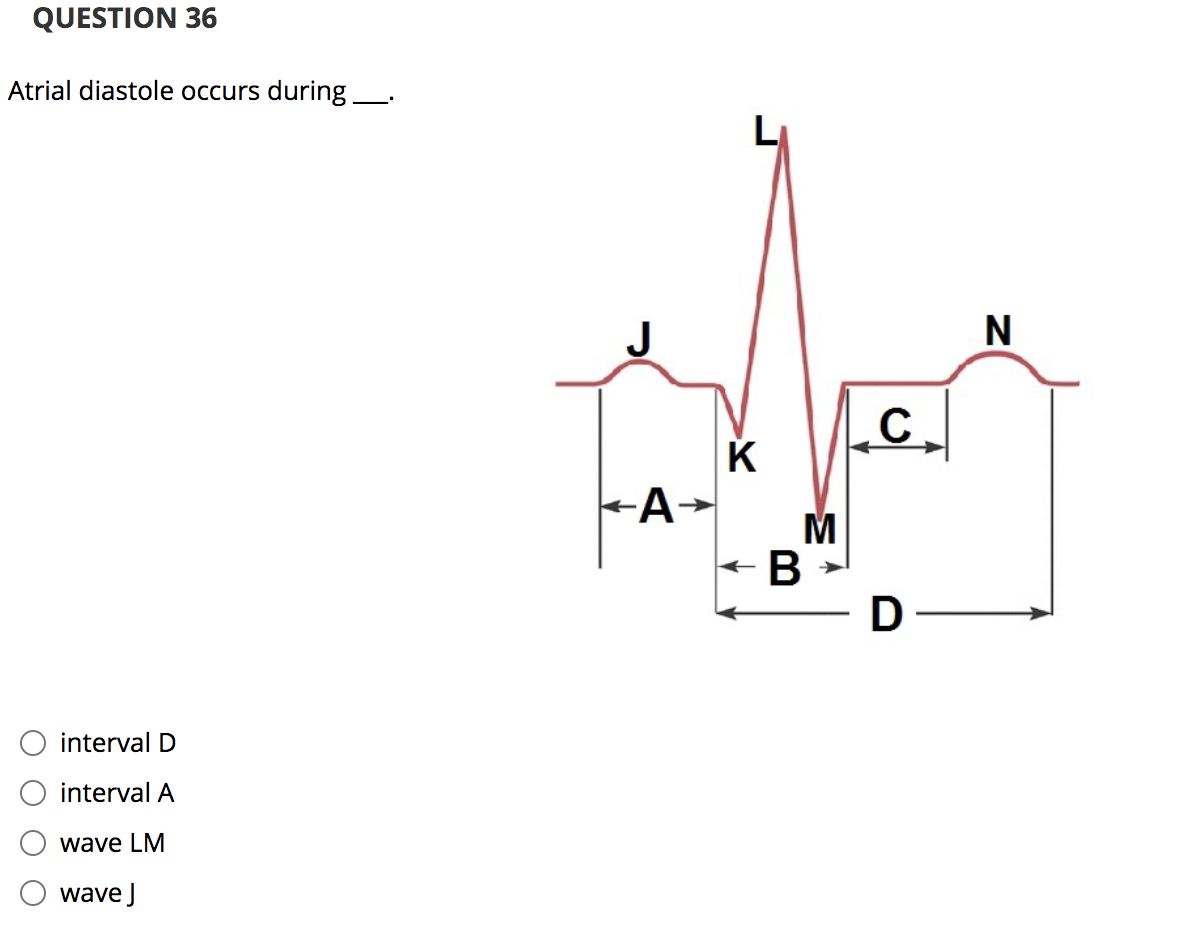 QUESTION 36
Atrial diastole occurs during_.
N
C
K
-A-
→
M
В
D-
interval D
interval A
wave LM
wave J
